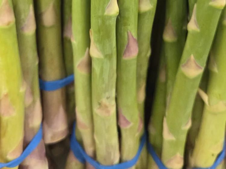 Asparagus
