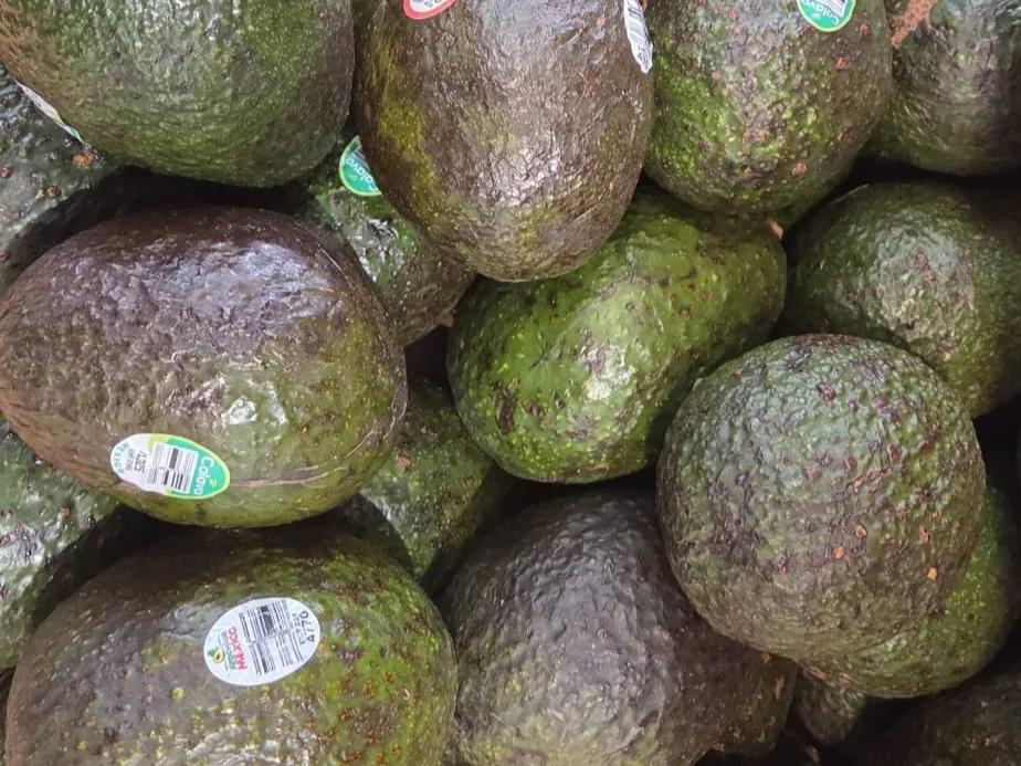aguaate